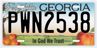 GA license plate PWN2538