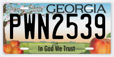 GA license plate PWN2539