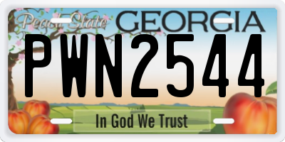 GA license plate PWN2544