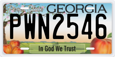 GA license plate PWN2546