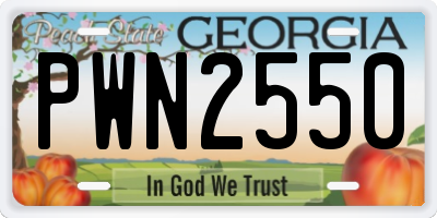 GA license plate PWN2550