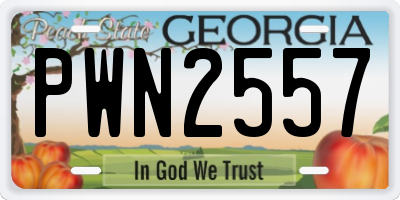 GA license plate PWN2557
