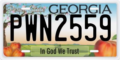 GA license plate PWN2559