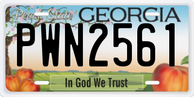 GA license plate PWN2561