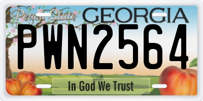 GA license plate PWN2564