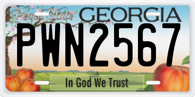 GA license plate PWN2567