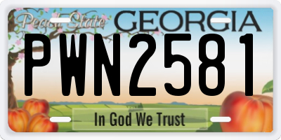 GA license plate PWN2581