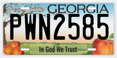 GA license plate PWN2585