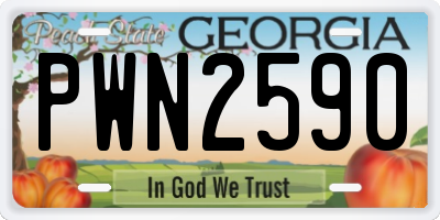 GA license plate PWN2590