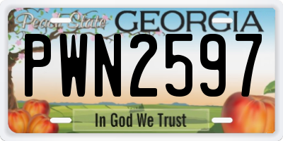 GA license plate PWN2597