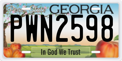 GA license plate PWN2598