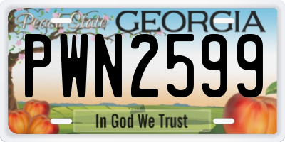 GA license plate PWN2599