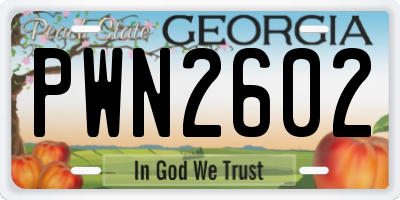 GA license plate PWN2602