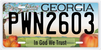 GA license plate PWN2603