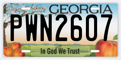 GA license plate PWN2607