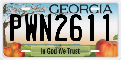GA license plate PWN2611