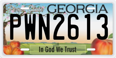 GA license plate PWN2613