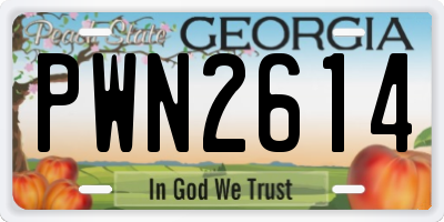 GA license plate PWN2614