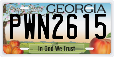 GA license plate PWN2615