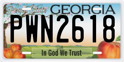 GA license plate PWN2618