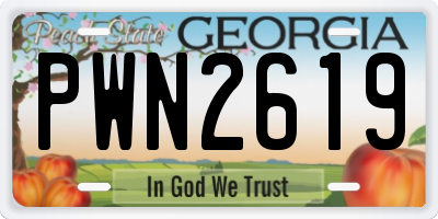 GA license plate PWN2619
