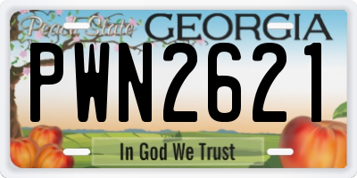 GA license plate PWN2621