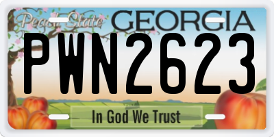 GA license plate PWN2623