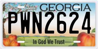 GA license plate PWN2624