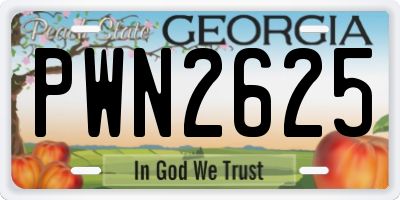 GA license plate PWN2625