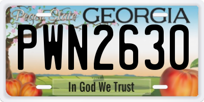 GA license plate PWN2630
