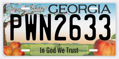 GA license plate PWN2633