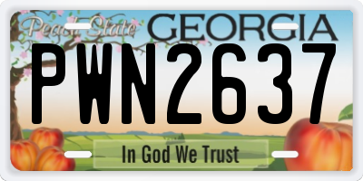 GA license plate PWN2637