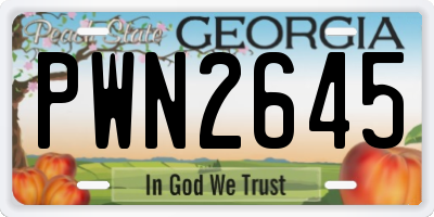 GA license plate PWN2645
