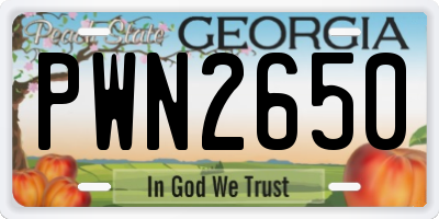 GA license plate PWN2650