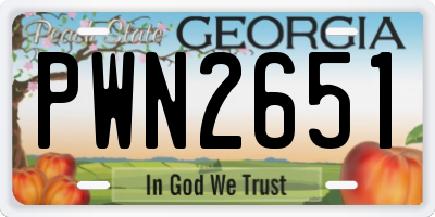 GA license plate PWN2651
