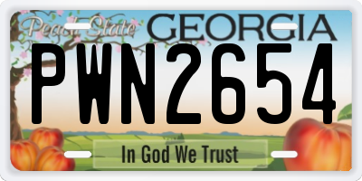 GA license plate PWN2654