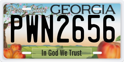 GA license plate PWN2656