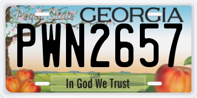 GA license plate PWN2657