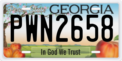 GA license plate PWN2658