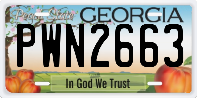 GA license plate PWN2663
