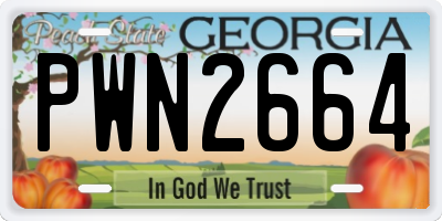 GA license plate PWN2664