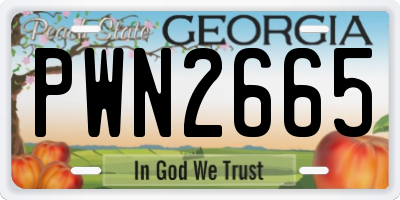 GA license plate PWN2665