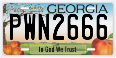 GA license plate PWN2666