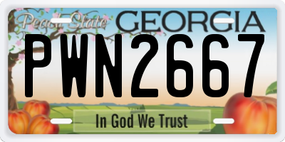 GA license plate PWN2667
