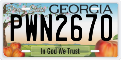GA license plate PWN2670