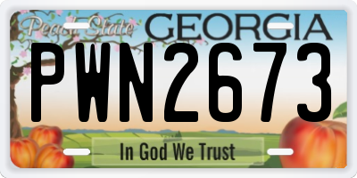 GA license plate PWN2673