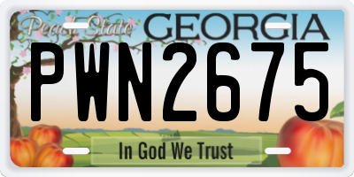 GA license plate PWN2675