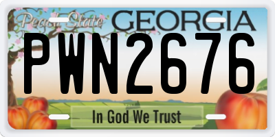 GA license plate PWN2676