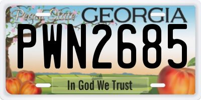 GA license plate PWN2685