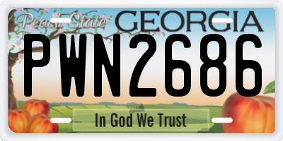 GA license plate PWN2686